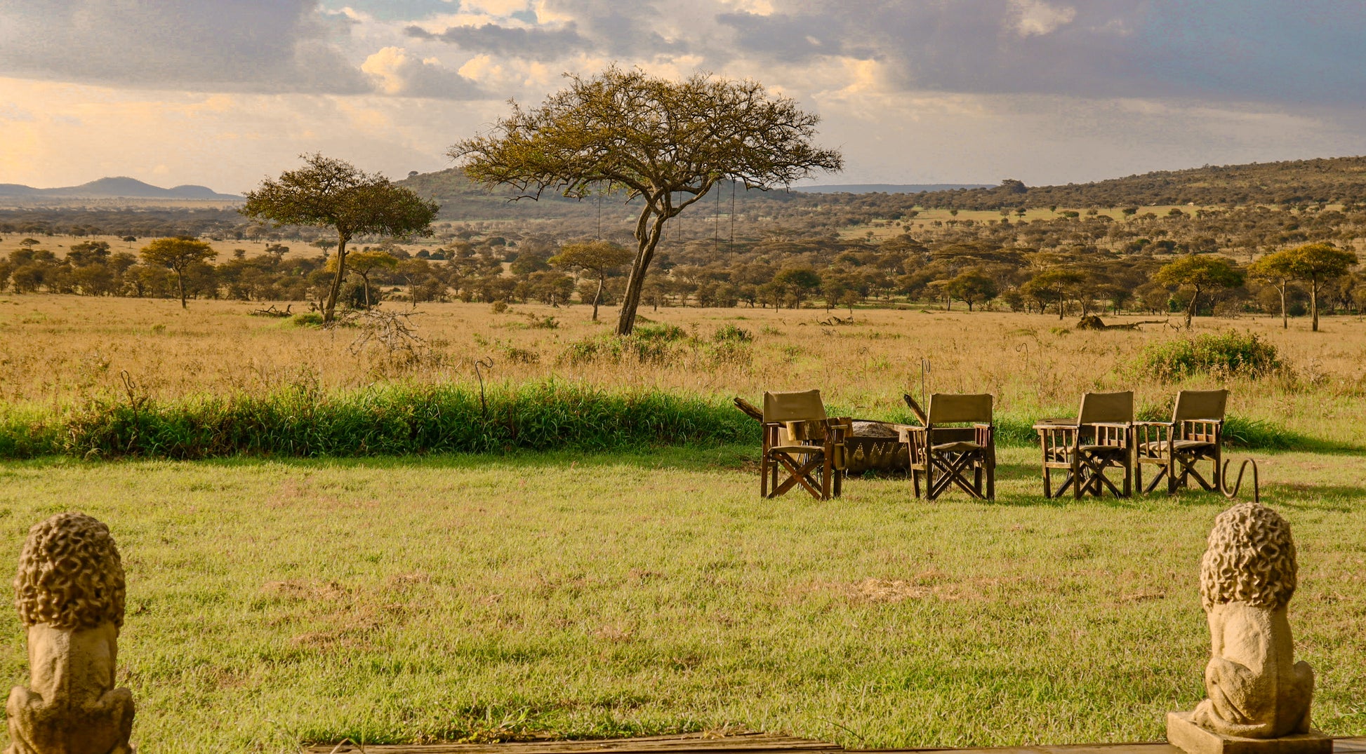 SEEKERS : Safari de luxe au Serengeti