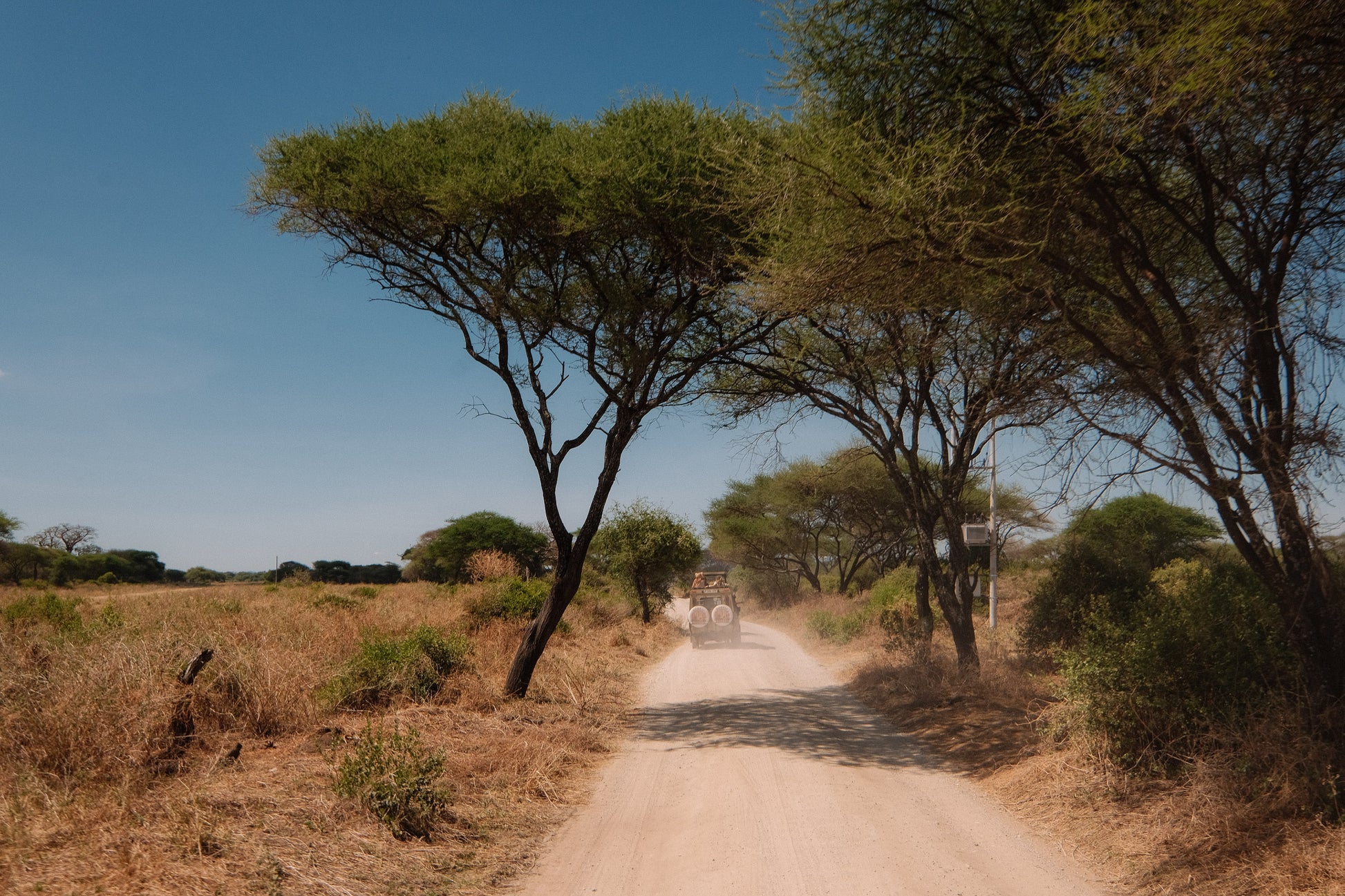 SEEKERS : Safari de luxe au Serengeti