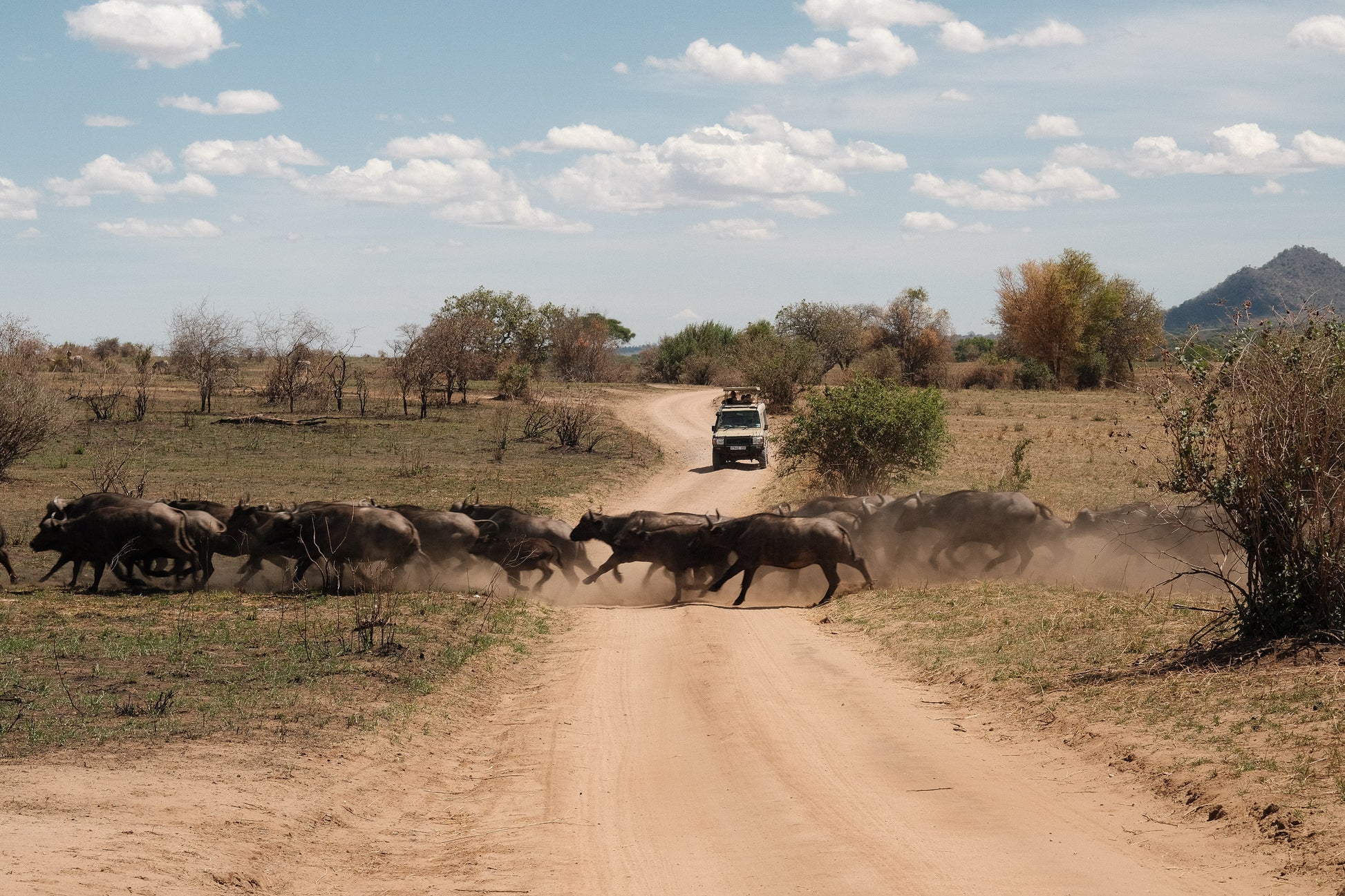 SEEKERS : Safari de luxe au Serengeti