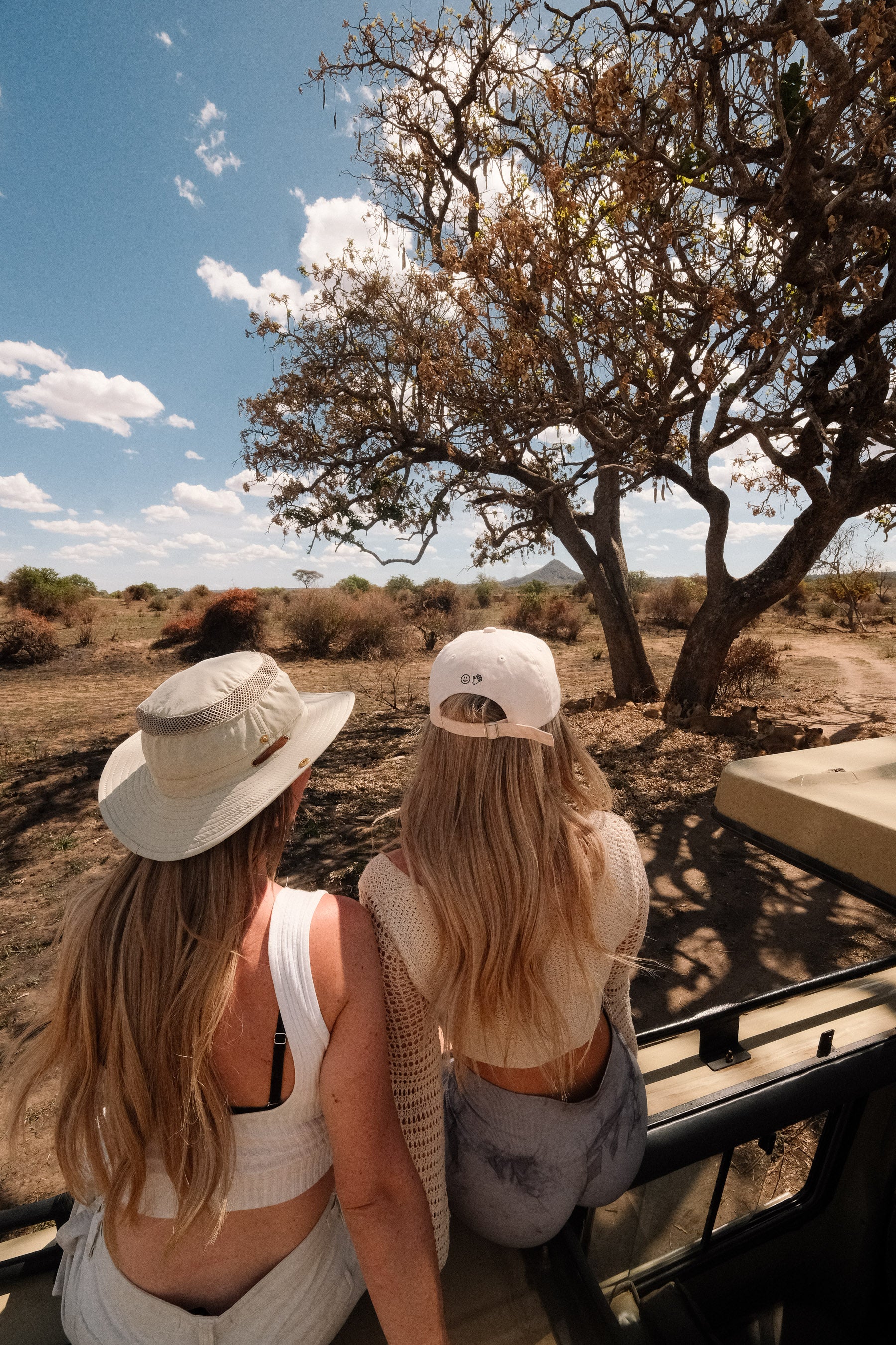 SEEKERS : Safari de luxe au Serengeti