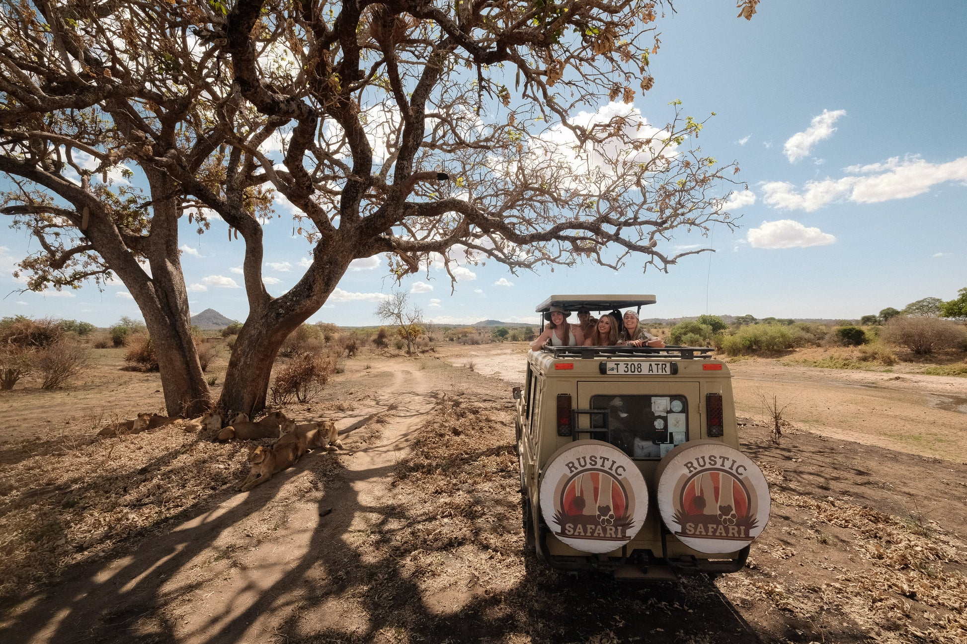 SEEKERS : Safari de luxe au Serengeti