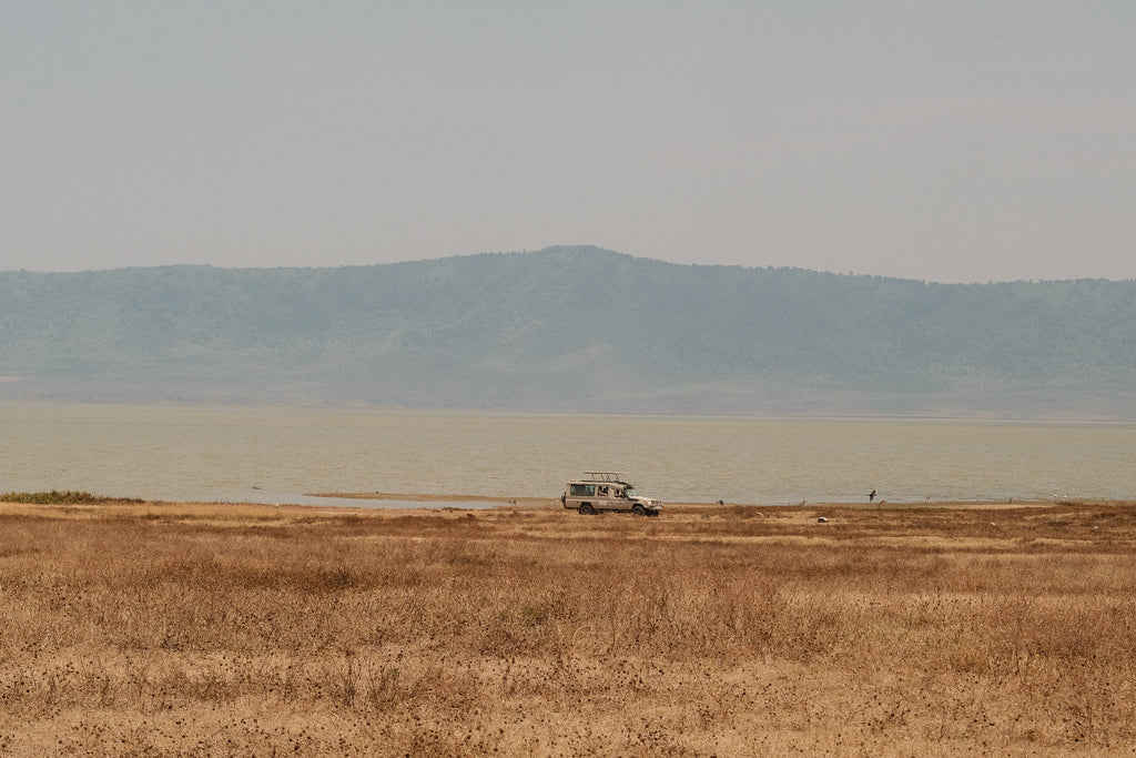SEEKERS : Safari de luxe au Serengeti