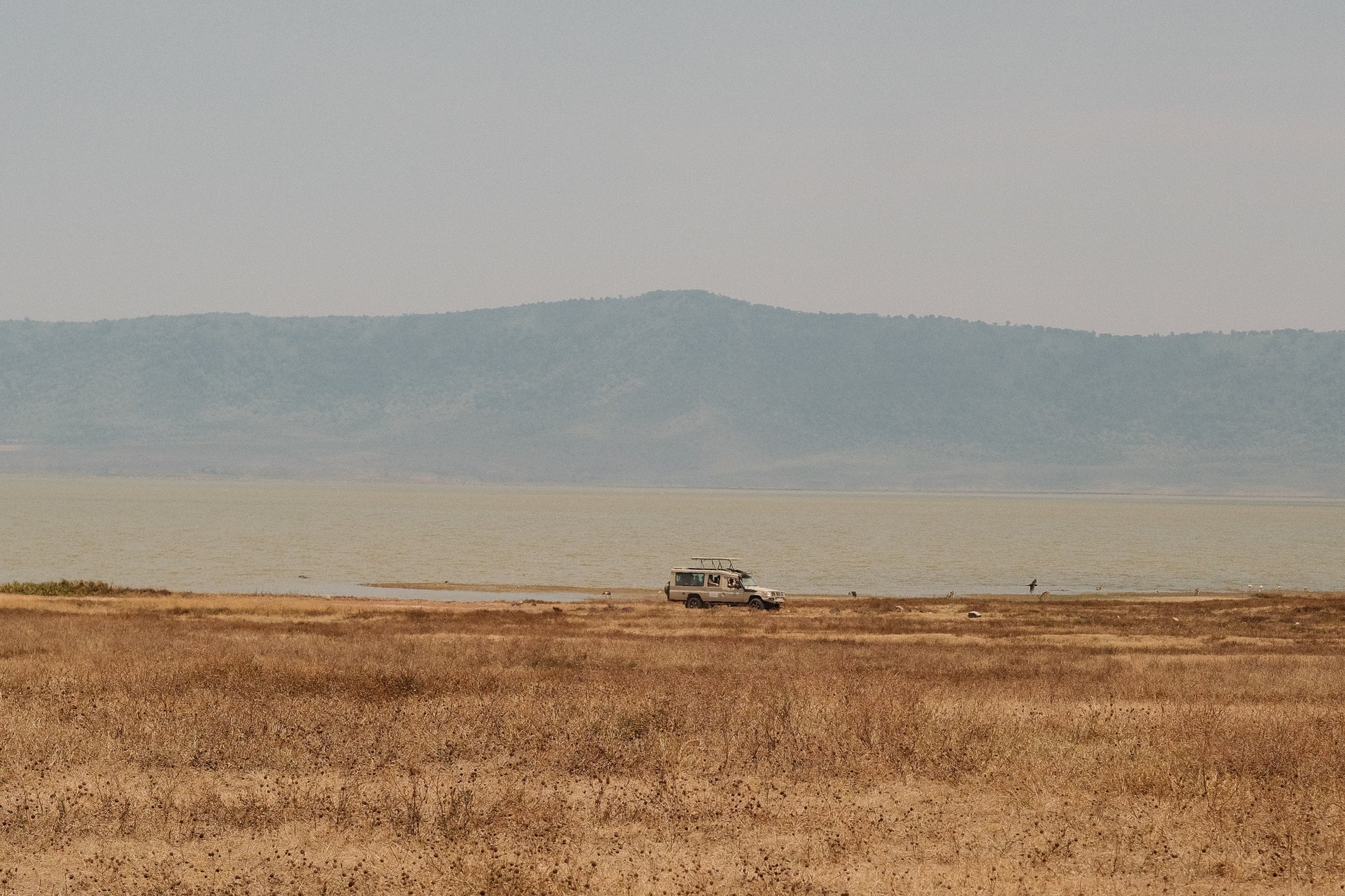 SEEKERS : Safari de luxe au Serengeti