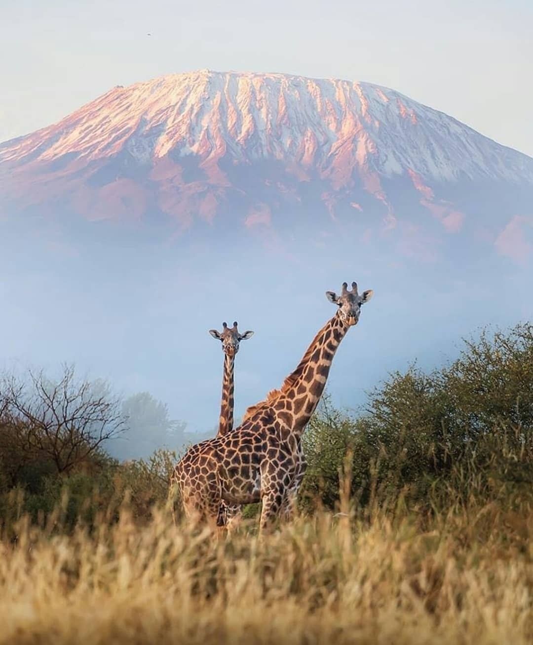 SEEKERS : 10 jours d’ascension et d’aventure au Kilimandjaro