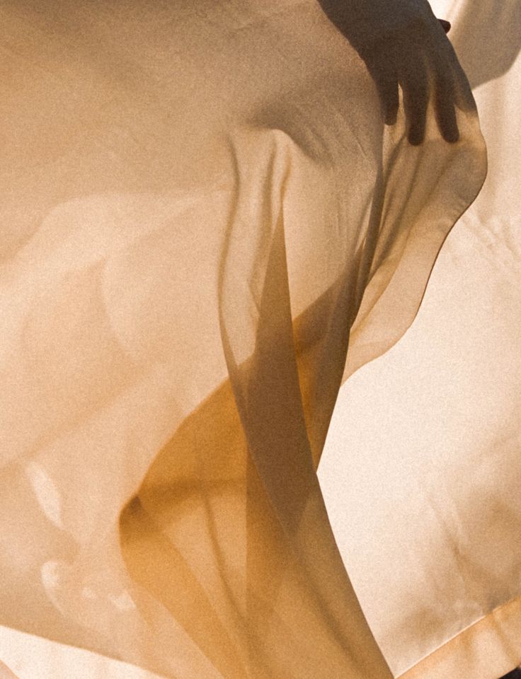 Somatic Liberation Training